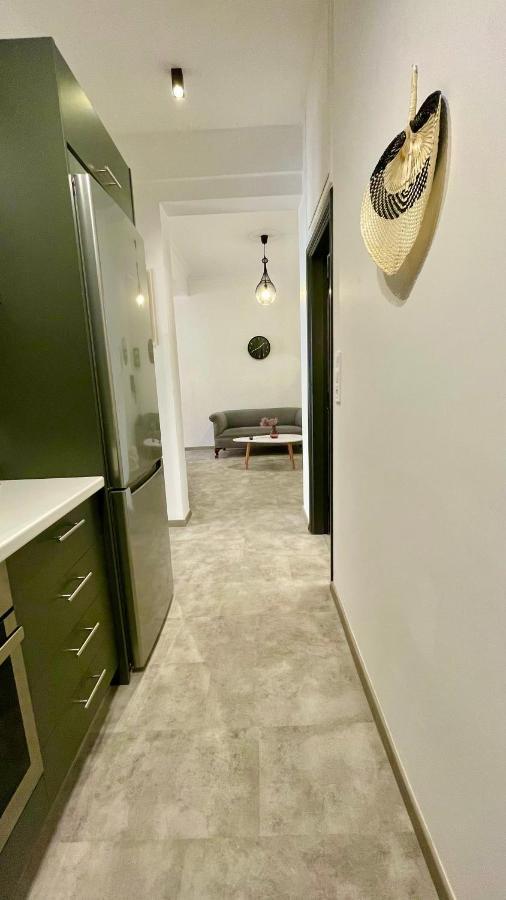 Gorgeous Renovated apt. close to Metro&cultural sites! Atenas Exterior foto